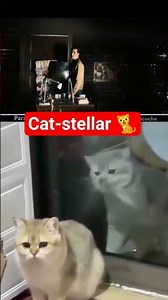 If Interstellar had a cat 😹💫 #interstellar #shorts #cat #funny #shorts