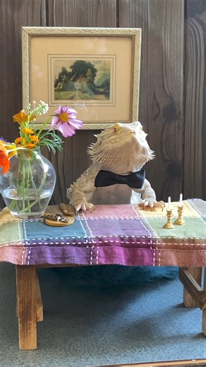 Our original fancy dinner party featuring Chef Lenny! We love this reel from the archives! 🍽️✨ #mukbang | Whosagoodlizard