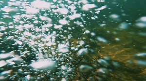 13 reactions | LIVETARGET has taken the next step in its journey to design life-like lures with the LIVE Shrimp! More lifelike in appearance and action than any other live-action shrimp in the water. Fool snook, redfish and trout with 3 modes of retrieval, 3 weights and 8 colors. Coming soon to a tackle shop near you! Check out our other great products at https://livetargetlures.com/ LIVETARGET Lures #Ad | Florida Sport Fishing | Facebook