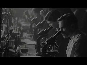 The Discovery That Changed Humanity: The Story of DNA section - 1