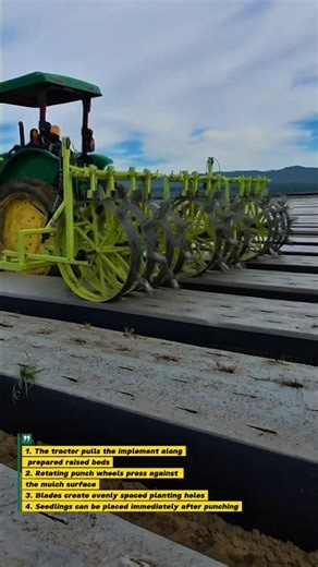 Plastic Mulch Hole Punching Machine | Efficient Planting Technology for Modern Farming