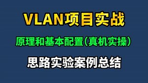 【2025年】全面讲解VLAN原理与各厂商配置项目实战，从入门到精通，全程干货无废话！vlan原理丨vlan配置丨vlan划分丨vlan通信丨网络安全