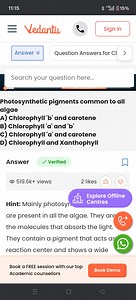 Photosynthetic pigments common to all algaeA) Chlorophyll 'b'... | Filo