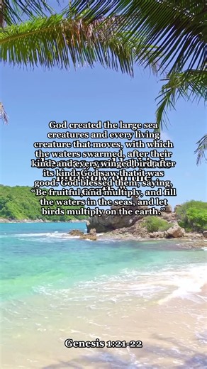 Genesis 1:21–22 — God created the large sea creatures and… | Daily Bible Verse