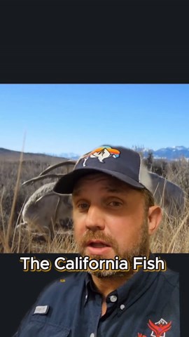 Inside the World of Exotic Game Hunting in U.S.