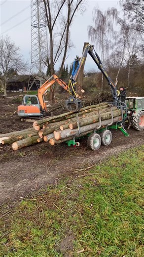 @saur_baumarbeiten on Instagram: "🌲🪓🌿 #Rodung #Ausgleichsmaßnahme #Nachhaltigkeit #Umweltschutz #Naturprojekte #forstbetrieb #waldarbeit #baumfällung #forstarbeit #landschaftspflege #landschaftsbau #esslingen"