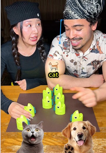 Cat vs. Dog: Winner Decides Our Next Pet?