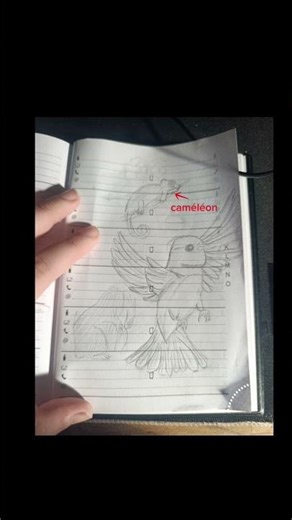 #dessin #cute #animals #dessin