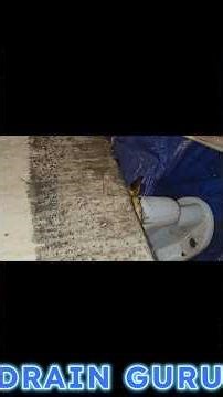 Plumber EXPOSES 3 DISGUSTING Places Black Mold Is Hiding In Your Bathroom (You NEVER Check These)