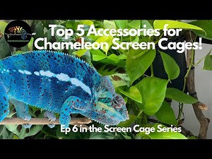 Top 5 Chameleon Screen Cage Accessories!