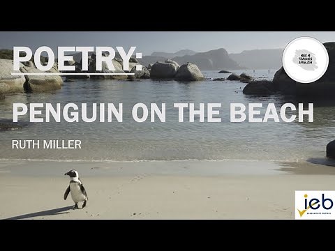 IEB - English HL - Grade 12 - Poetry - 'Penguin on the Beach' by Ruth Miller