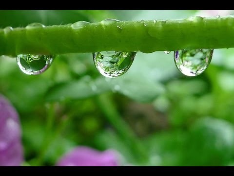 How Raindrops Form and Fall