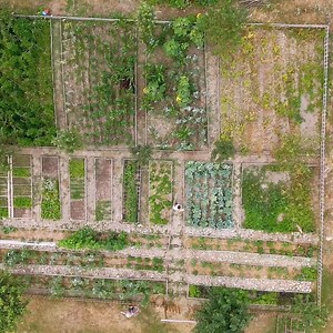 119K views · 2.9K reactions | Making Really Crispy TRDELNIK with Cinnamon and Pistachios! Village Pastry. | Allison Avery | Facebook