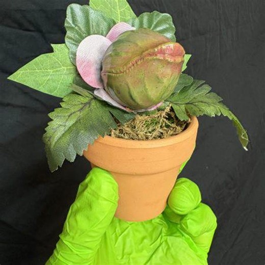 Baby Audrey 2 Prop - Etsy