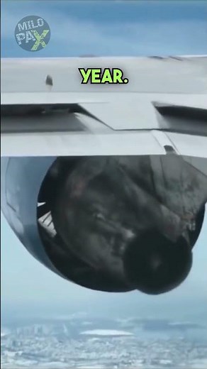 Airplane Engines Bird Strike Test!