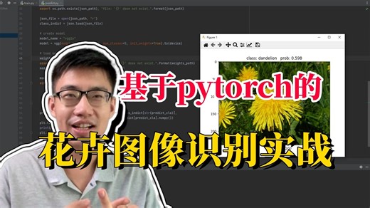 【PyTorch花卉图像识别实战】存下吧，比啃书强太多了！手把手带你学透基于Pytorch框架的花卉图像识别模型实战，原理详解 项目实战，看完直接跑通！