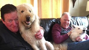 Silent Night - Merry Christmas, everyone! Rowland Kenney Hershel 🎥: Scott Plunkett | Chris Isaak