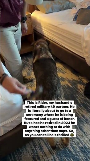 @mwdrex_and_rider: What do you think he was thinking 😂 #dog #doglover