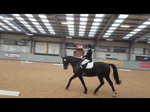 Novice 38 dressage test BD