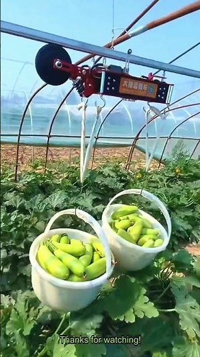 How to Make Movie Theater Popcorn at Home #PopcornMachine #SnackTime_R