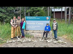 CAMPING NEXT TO 30 GRIZZLY BEARS! | Brooks Falls | Katmai National Park Alaska