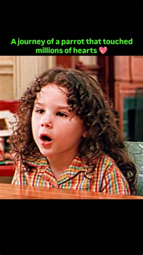 VHS on Instagram: "🎬 Paulie (1998) ⭐ Rating: 6.7/10 📅 Release Date: 16 April 1998 🎭 Genre: Family, Adventure, Drama 🎬 Director: John Roberts --- ✅ Detailed Explanation (Story): Paulie is a heart-touching story about a smart talking parrot and a mute little girl named Marie. Since Marie cannot speak, Paulie becomes her voice, her best friend, and her emotional support. Their bond is pure and unbreakable. But destiny is cruel. Paulie is forcefully separated from Marie and sold again and again.