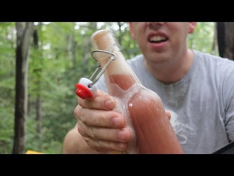 5 Foraging Recipes: Autumn Olive Soda, Jelly, Malt Sugar, Apple Butter, & Fruit Leather