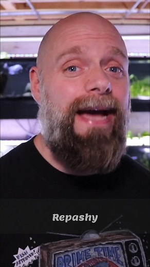 Prime Time Aquatics on Reels