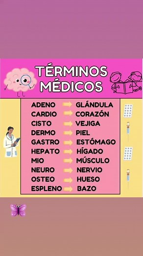 Aprender Términos Médicos de Forma Sencilla