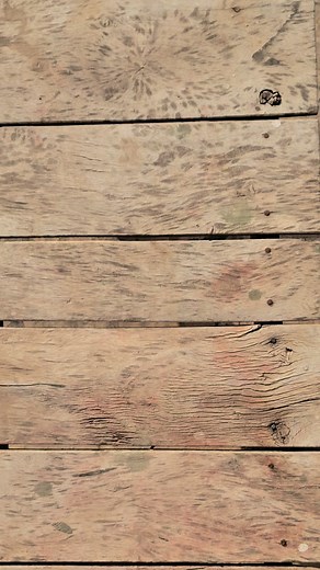 275K views · 2.9K reactions | iPhone Doggy  P-2 #reel #reels #fbreels #grooming #doggrooming #reelkarofeelkaro #reelitfeelit #dog #dogs #doghouse #diy #project #pets #petcare #pet #reelsviral #viralreels #viralvideos #viral #petstargram #petlovers #gsd #germanshepherd #doggy #dogsofinstagram #india #indian #shadi #marriage #wedding | 100 Kaam Hain | Facebook