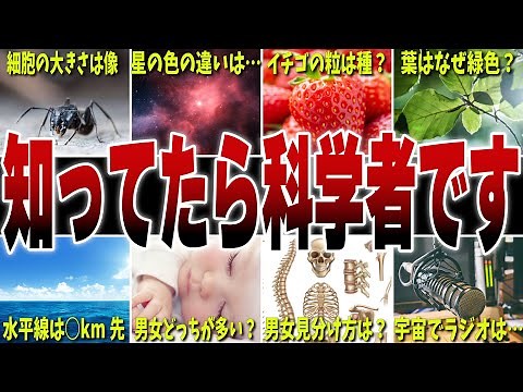 【何個知ってる？】あなたの理科センスを問う科学の雑学10選