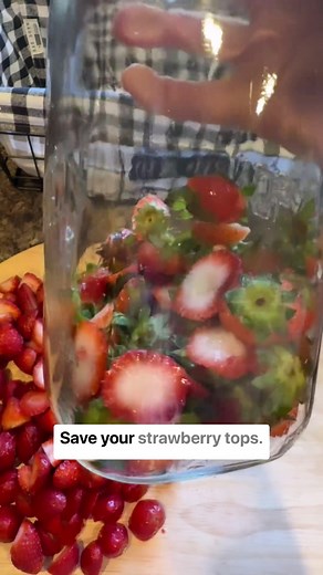 🍓Strawberry Top Syrup🍓 Save your strawberry tops, they make a delicious syrup that you can use in lemonade, add to carbonated water, boil down longer to make a thicker syrup, and add to ice cream! Recipe: 1 Cup strawberry tops 1 Cup water 1/2 Cup honey Add your strawberry tops, water & honey to a pot. On medium heat, let simmer for 15 minutes. If you want a thicker syrup, let simmer for longer. Strain, and enjoy! . . #strawberrytops #strawberrytopsyrup #reducewaste #strawberryseason #gardenpro