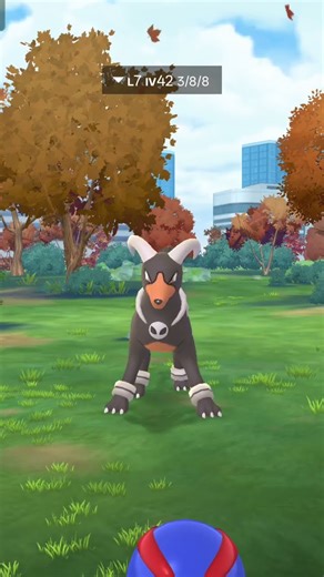 #pokemon go catch Houndoom