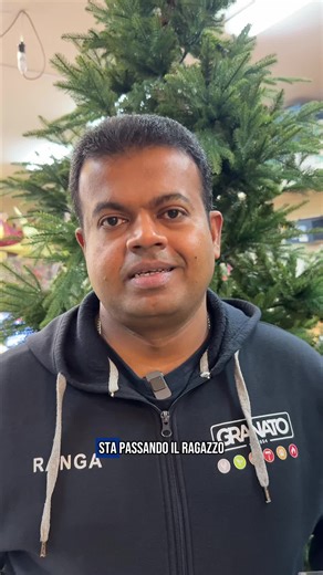 Pino Luxury EDG: Offerta Natalizia Imperdibile