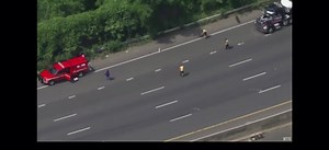 13K views · 285 reactions | PUP LEADS CHASE ON HIGHWAY: It took seven minutes before someone could finally catch up to "Astro," a one-year-old Shih Tzu-poodle mix, who started a cat-and-mouse game on a busy highway after his owner was in a car accident. Astro is now safe at home. | KNAB News 1 | Facebook