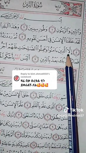 Exploring Beautiful Quran Calligraphy and Verses