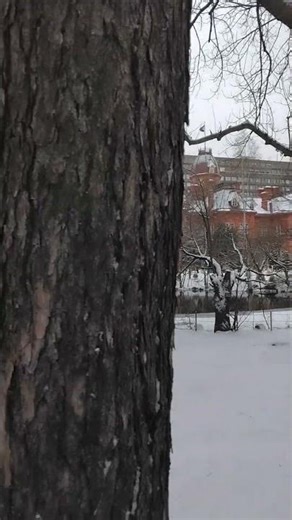 大瀧詠一さん🎵クリスマス音頭…2025/12/25 #retro #nostalgia #vintage #昭和