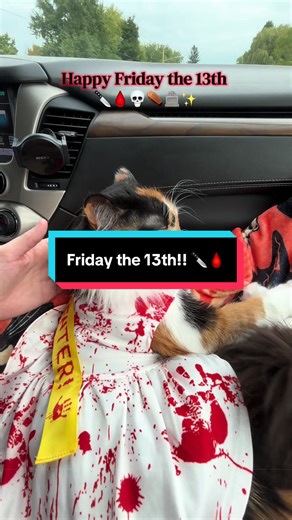 Happy Friday the 13th!!! 🔪🩸✨ #fridaythe13th #jasonvoorhees #friday #horror #horrormovie