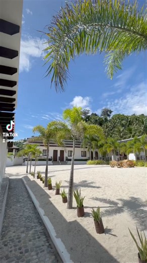 15K views · 27 reactions | HAPPY STAYCATION AT OHANA BALER  | Ohana Beach House - Baler | Facebook