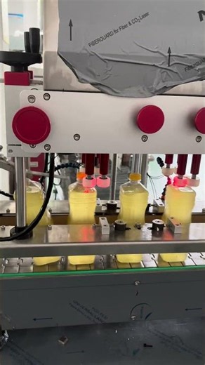 Edible oil cap tightener machine with lid sorting system #cappingsystem #equipment