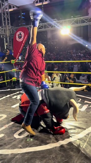 #toro #pelongarabato | Toro