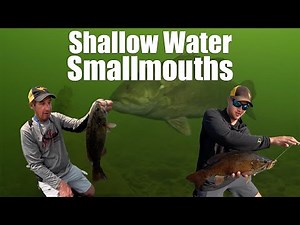 Shallow Water Smallmouth Secrets Every Angler Needs