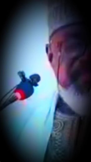 Exploring the Sunnah: Warman's Insights on CapCut