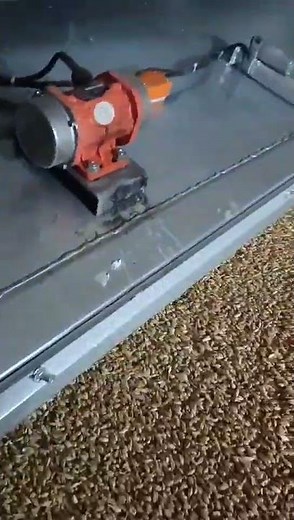 Hydroponic Fodder System Equipment #farming #cow #agriculture