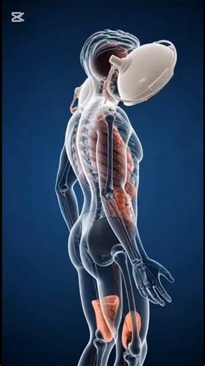 “Stomach Worms Warning: Hidden Signs That Can Damage Your Health