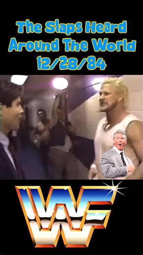697K views · 6K reactions | 41 years ago today! “Dr. D” David Schultz slaps John Stossel. #wwe #wwf #2020 #80s #nostalgia | Totally Awesome 80s | Facebook