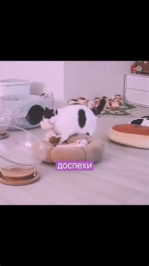 Палим будущий трек!