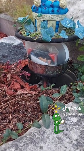 🧸We can “bear-ly” believe it! 🎥: geocachingharz_gc_casa85. #geocaching #geocache #fyp #viral #GeoTok #getsturdy