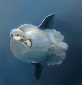 Deviants [1998] dvd new releases