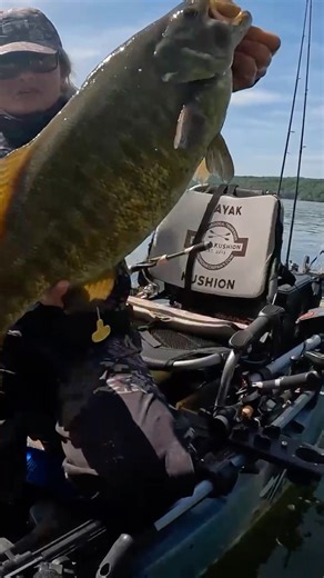 2.2K views · 26 reactions | With the northern fishing season heating up, here's a throw back to @midwesterfishergal using her 7'1" Medium Fenwick World Class to catch some true northern giants! #FeelEverything #FenwickRods #FenwickFishing #FenwickWorldClass | Fenwick Fishing | Facebook